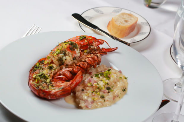Tony's lobster.jpg